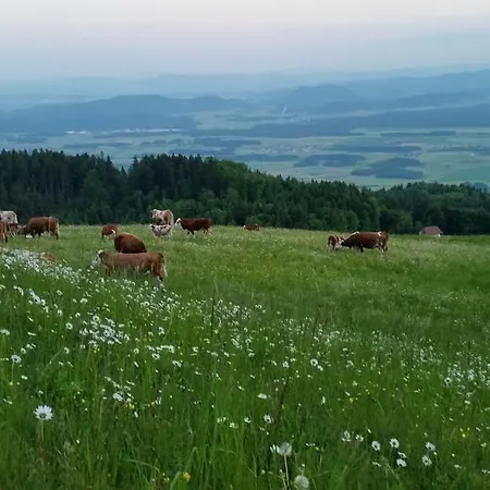 Gasthof Pr Ambruzarju &