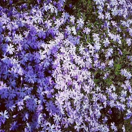 Gæstehus Pr Ambruzarju &