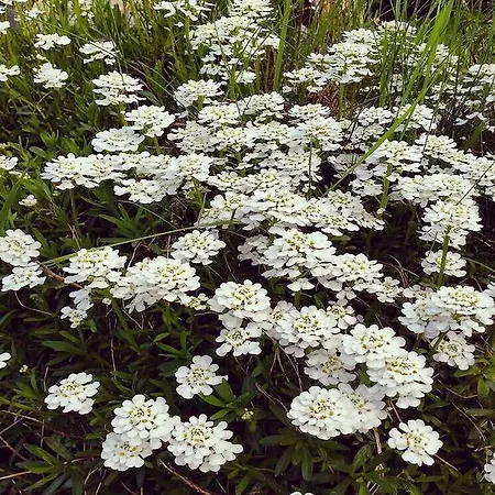 Gasthof Pr Ambruzarju & Cerklje na Gorenjskem