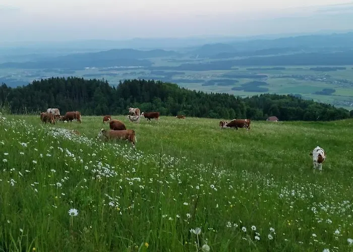 Affittacamere Pr Ambruzarju &