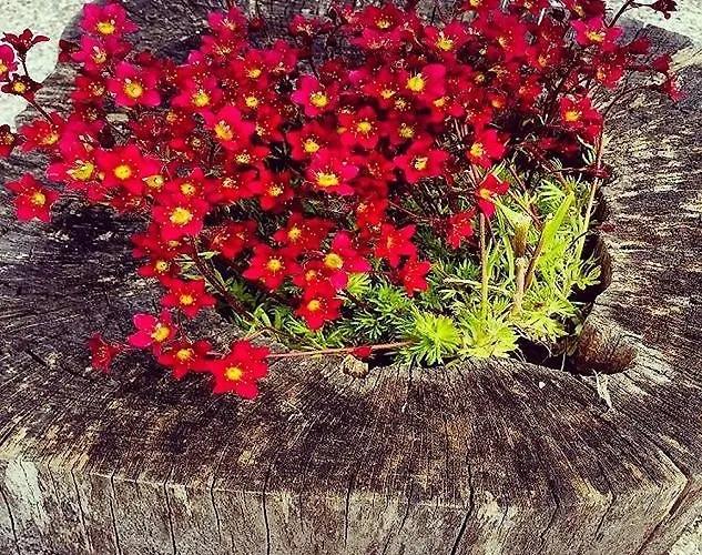 Gasthuis Pr Ambruzarju &