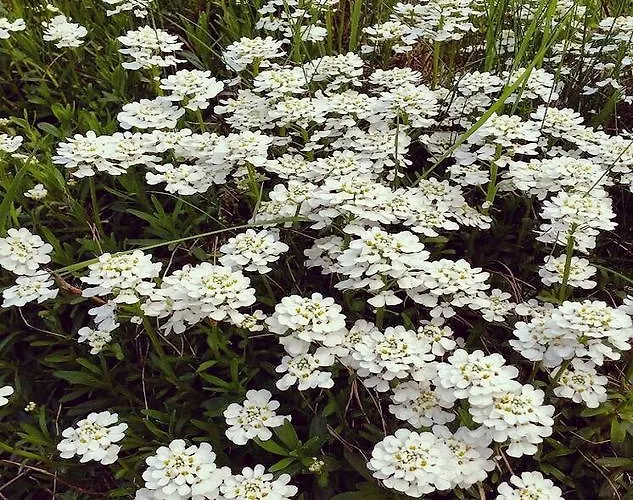 Affittacamere Pr Ambruzarju & Cerklje na Gorenjskem